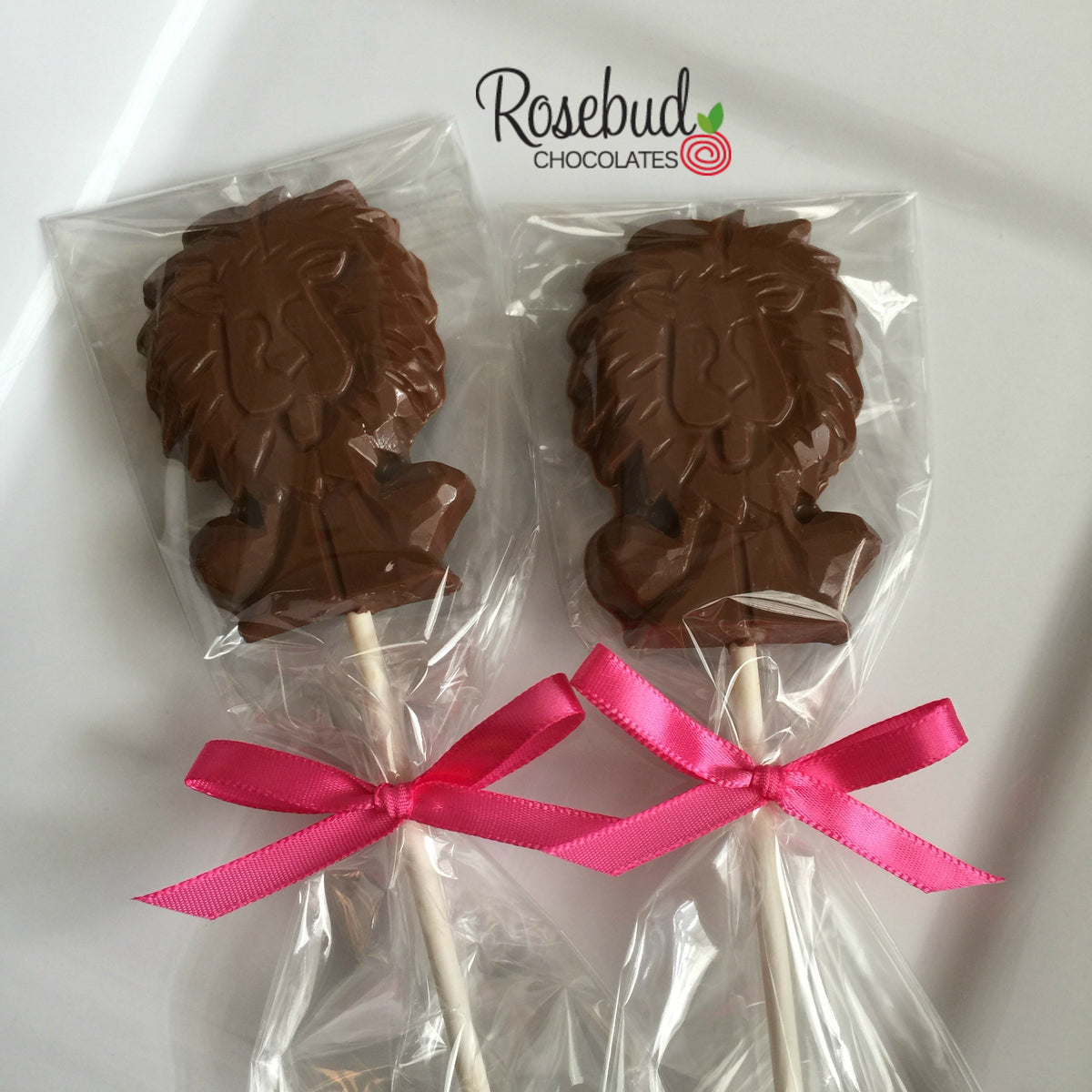 12 LION Chocolate Lollipop Candy Party Favors – Rosebud Chocolates